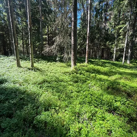 Lahemaa Nature Glamping - Haru Luxe tent